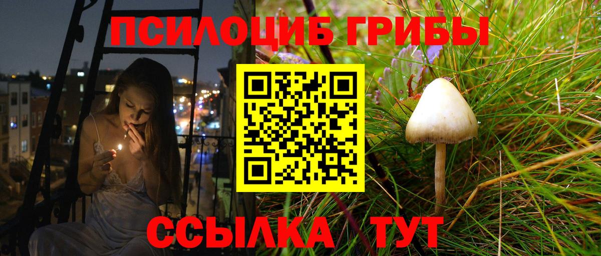 Псилоцибиновые грибы Psilocybine cubensis  Вход с VPN  Галлюциногенные грибы ЛСД  Сухой Лог 