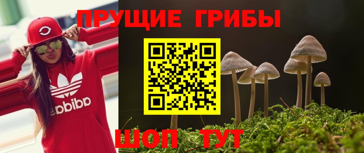 Псилоцибиновые грибы GOLDEN TEACHER Сухой Лог